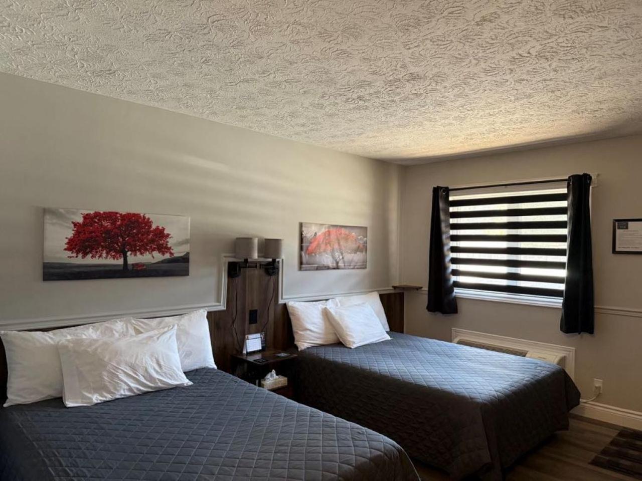 Auberge Micky Inc Edmundston Luaran gambar